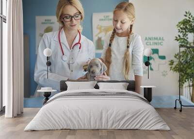 Girl brushing her puppy at the vet Wall mural