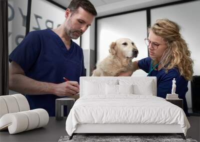 Two caucasian doctors analyzing medical result of dog Wall mural