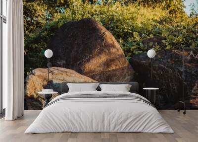 boulders with plants Wall mural