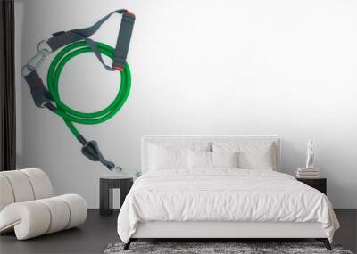 Colorful resistance band isolated on the white background. Wall mural