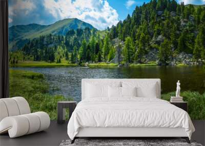 Alpine landscape Wall mural