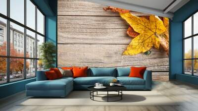 Autumn leaves Wall mural