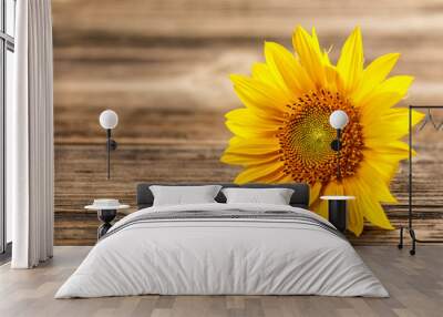 sunflower Wall mural