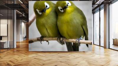 Two Small Green Bird Sitting Together On Branch Wall mural