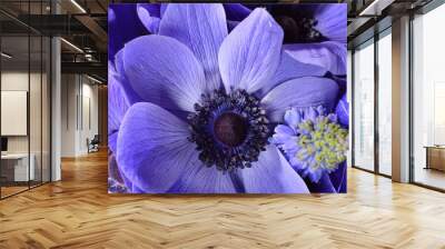 Posy of Anemonies and Muscari Wall mural