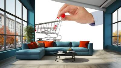 hand with shopping cart Wall mural