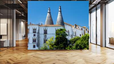 Close up isolated view of the 15th century historic building complex Sintra National Palace, in Sintra town near Lisbon, Portugal. It is famous for its two large chimneys overlooking the palace. Wall mural