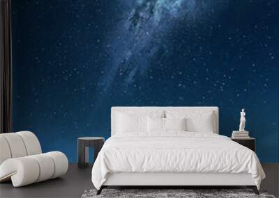 fisherman in a boat at night under the Milky way,illustration painting Wall mural