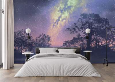 man standing against the milky way above silhouetted trees,night sky,scenery illustration Wall mural