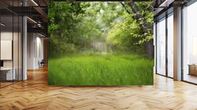 Beautiful green summer forest. Spring background, backdrop Wall mural