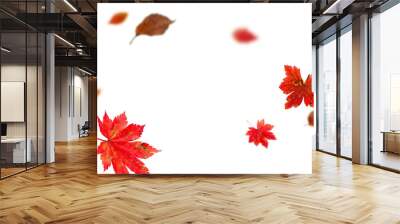 Bright autumn falling leaves on white background Wall mural