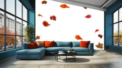 Bright autumn falling leaves on white background Wall mural