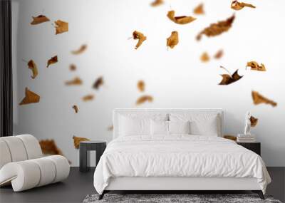 Dry autumn falling leaves on white background Wall mural