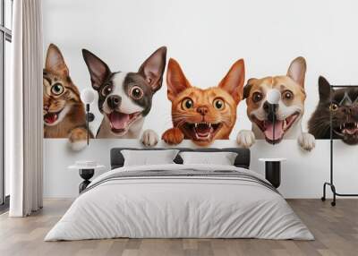 Group of cute pets joyfully looking forward in line Wall mural