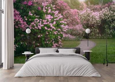 White and pink lilac bushes blooming in spring garden Wall mural