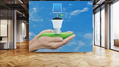 Solar cell and fresh green tree leaves on soil with light bulb in hands over blue sky and birds, Green ecology and saving energy concept Wall mural