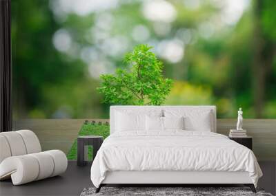 Tree growing from an open book on wooden table over blur green tree in park, Business ecological concept Wall mural