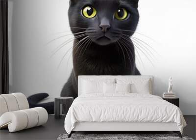 black cat isolated on white Wall mural