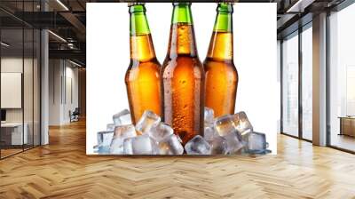 bottle of beer with ice Wall mural