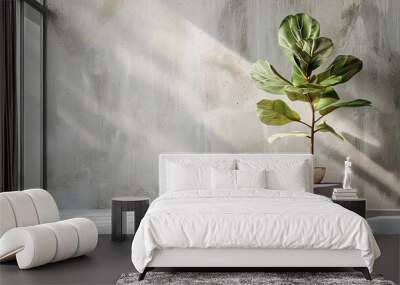 Minimalist Interior Background with Concrete Podium and Fiddle Leaf Fig Plant for Product Placement in Sunlit Room with Copy Space on Empty Wall 3D Rendering Wall mural