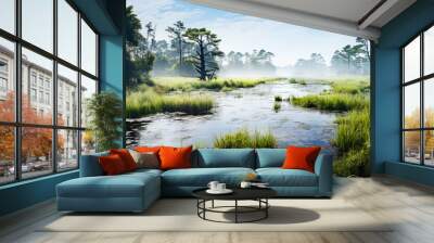 Tranquil Misty Marsh: Reflection of Nature's Beauty Wall mural