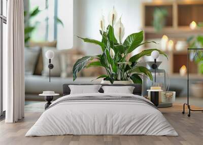 Vase with beautiful spathiphyllum flowers on table in room Wall mural