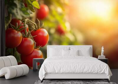 Freshly Picked Cherry Tomatoes in Sunlight Wall mural