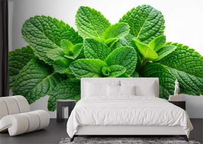 Fresh mint leaves isolated on transparent background Wall mural