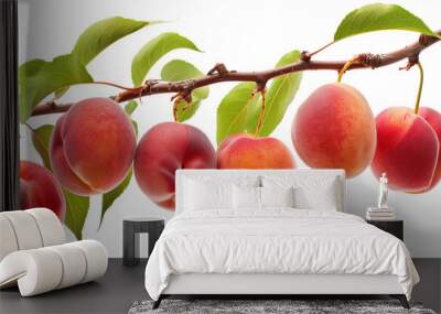 Bunch of peaches hanging from a branch Wall mural