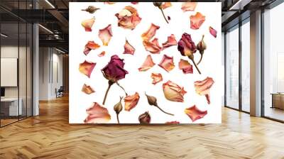 Dried rose petals and buds scattered Wall mural