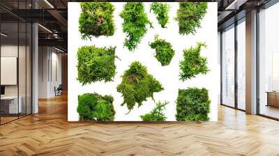 Green moss pieces isolated on white background Wall mural