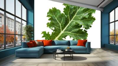 Isolated fresh single kale leaf Wall mural