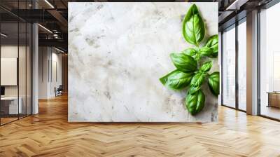 Solitary aromatic basil leaf background with white board in the middle Wall mural