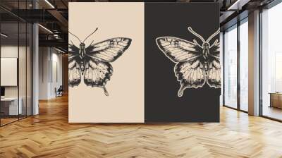 Vintage retro engraving woodcut style sketch draw paint of butterfly insect animal illustration Wall mural