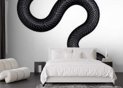 Black  Snake isolated on White Background. Top view. 3D illustration Wall mural