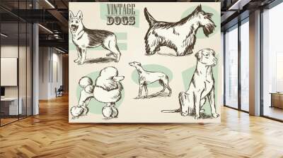 classic retro ornate dog collection Wall mural