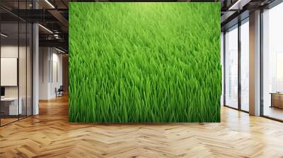 summer grass , summer grass background design Wall mural