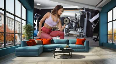 Muscular woman with a pair of dumbbells in her hands doing the seated bicep curls. beautiful muscular fit woman exercising building muscles and fitness woman doing exercises in the gym. Wall mural