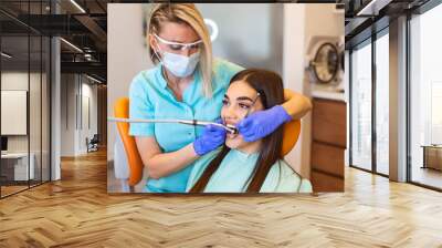 The woman came to see the dentist. She sits in the dental chair. The dentist bent over her. Happy patient and dentist concept. Wall mural