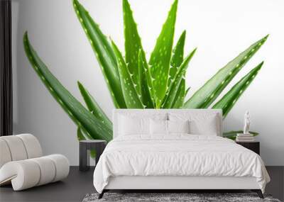 Organic green fresh aloe Vera transparent gel isolated on  PNG Wall mural