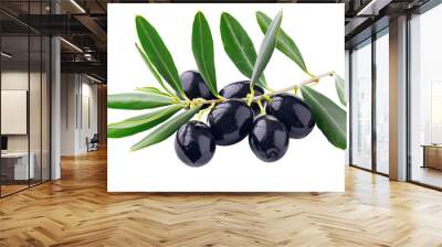 An olive branch with leaves and a few shiny black olives isolated on white background Wall mural