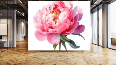 Beautiful Pink peony watercolor botanical PNG illustration isolated on transparent background. Wall mural