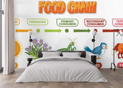 Depicts energy flow through a food chain Wall mural