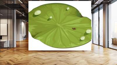 lotus leaf Wall mural