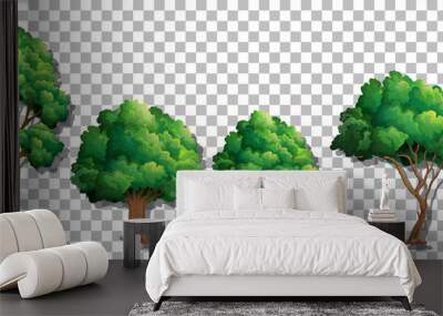 Set of various trees on transparent background Wall mural