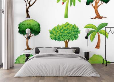 Various trees Wall mural