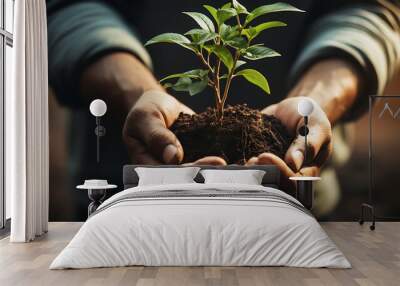 Close up of hands holding green seedling with soil background. Earth day concept Wall mural