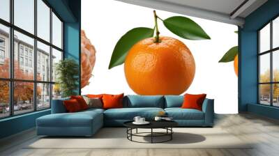 tangerines isolated on transparent background Wall mural