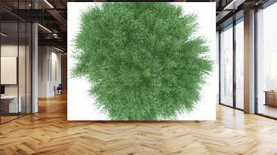 Isolated Plant for Architectural Plan Wall mural