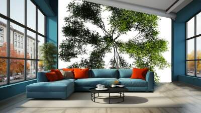 Realistic individual Trees top view for landscape plan isolated white background Wall mural